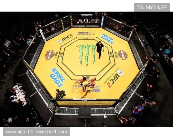 UFC柔术技术连接训练揭秘：打造无敌地面控制力的终极秘籍