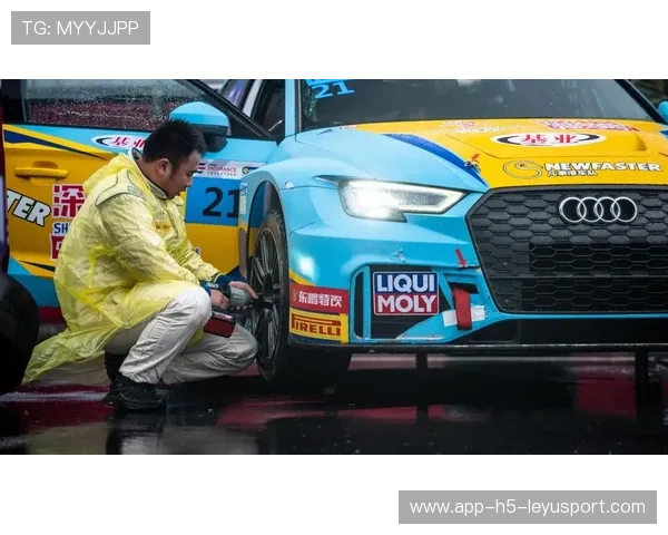 赛车队进行轮胎磨耗数据对比，进一步优化方案