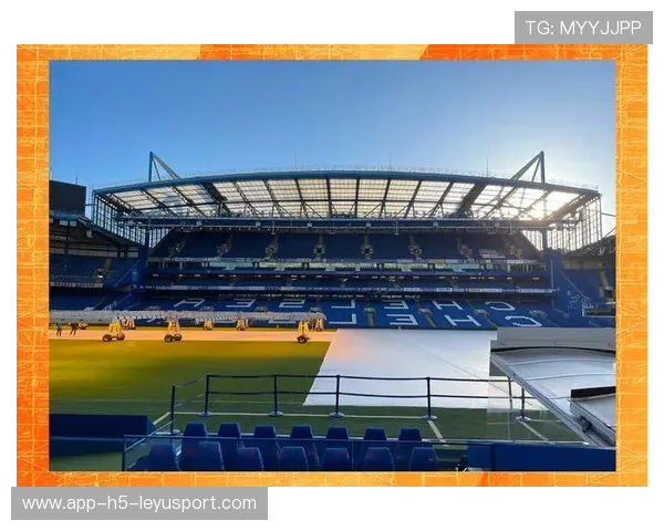 青年天才埃斯特旺爆发,斯坦福桥成新舞台 青年天才埃斯特旺爆发,斯坦福桥成新舞台