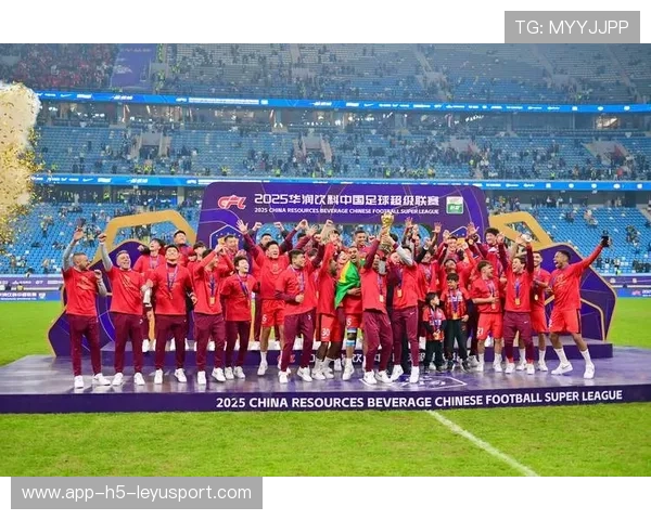 中国足球是否支持科研机构介入体能恢复研究，中国足球协会关于进一步推进足球改革发展的若干措施