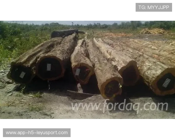 圭亚那体育产业迈向新高度，圭亚那有足球队吗