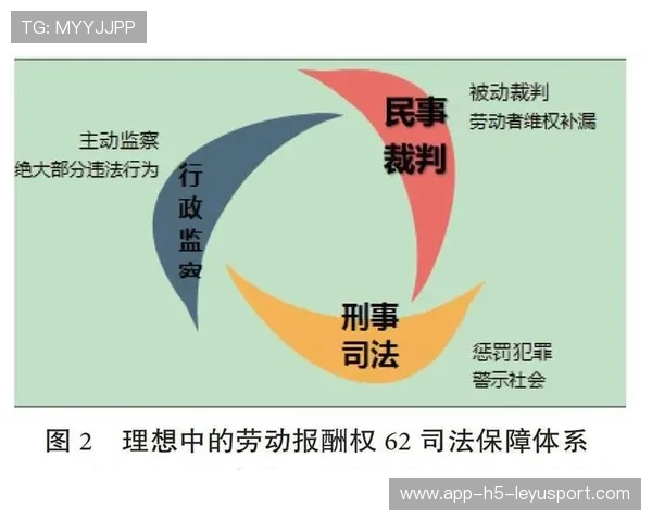 裁判机构发布年度执法报告，透明化推进，裁判执法能力