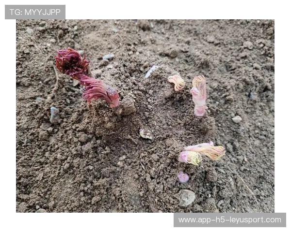 未来可期🌱潜力巨大